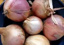 oignons  Roscoff -500g